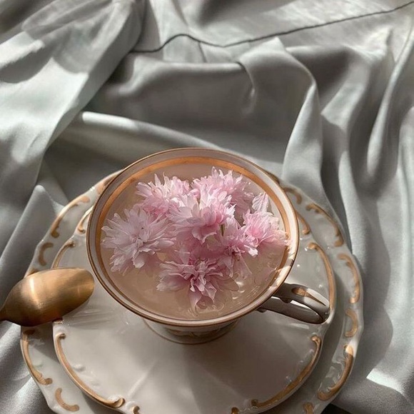 Meet your Posher, Fatmah - Picture 1 of 1